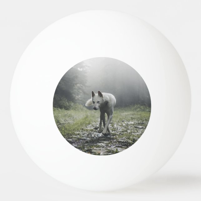 Pelota De Ping Pong Husky Siberiano Blanco (Anverso)