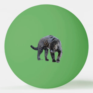 Pelota De Ping Pong Jaguar Diablo 1 estrella de ping pong verde