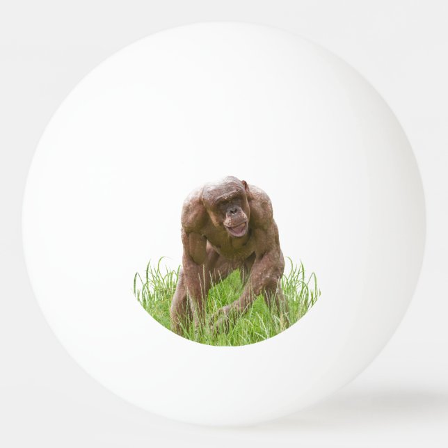 Pelota De Ping Pong Jambo El Único Chimpancé Sin Cabello (Anverso)
