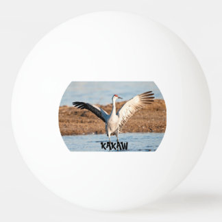 Pelota de Ping Pong KAKAW