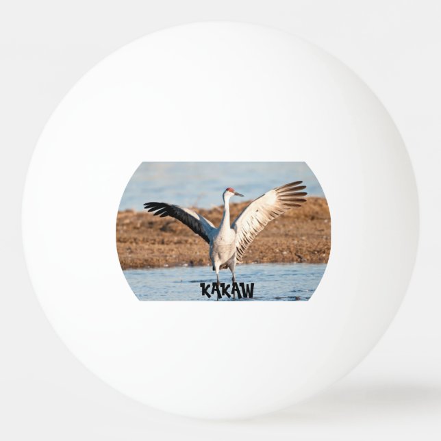 Pelota de Ping Pong KAKAW (Anverso)