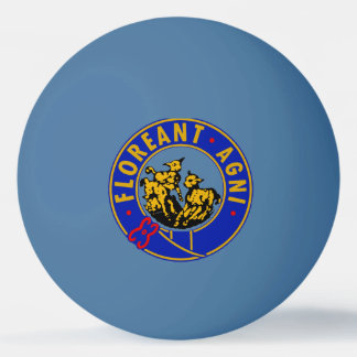 Pelota De Ping Pong Lambs Pong