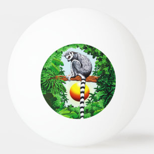 Pelota De Ping Pong Lemur de Madagascar