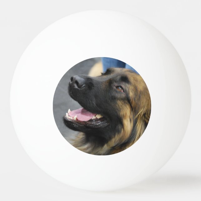 Pelota De Ping Pong Leonberger (Anverso)