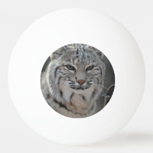 Pelota De Ping Pong Lince del arrastramiento