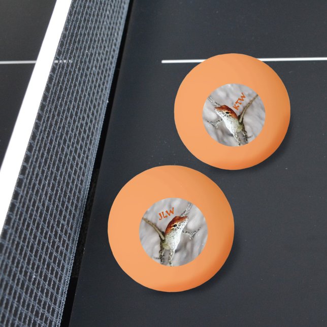 Pelota De Ping Pong Los Redheads Anole Lizard tienen más diversión (Subido por el creador)
