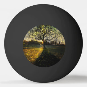 Pelota De Ping Pong Luciérnagas mágicas paisaje de ensueño