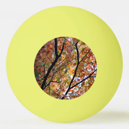 Pelota De Ping Pong Luz en las hojas
