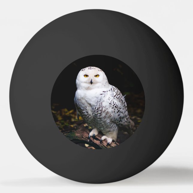 Pelota De Ping Pong Majestuoso búho de invierno (Anverso)