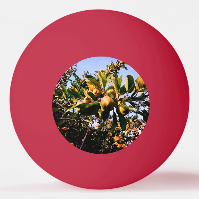 Pelota De Ping Pong Manzanas (Anverso)
