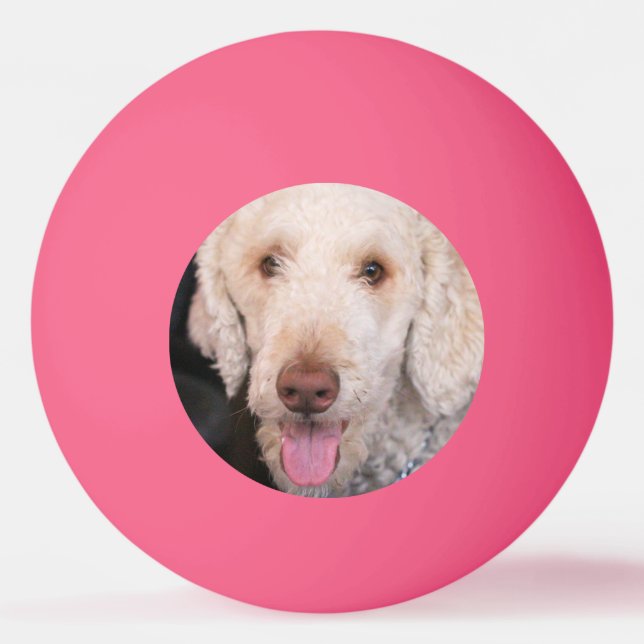 Pelota De Ping Pong Mareado (Anverso)