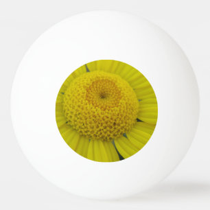 Pelota De Ping Pong marguerita amarillo bonito