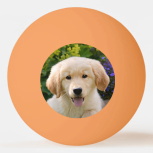 Pelota De Ping Pong Mascota divertida del perro bebé Golden Retriever