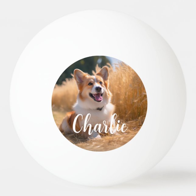 Pelota De Ping Pong Mascota personalizado Foto (Anverso)