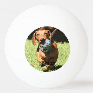 Pelota De Ping Pong Mascota personalizado Foto y texto