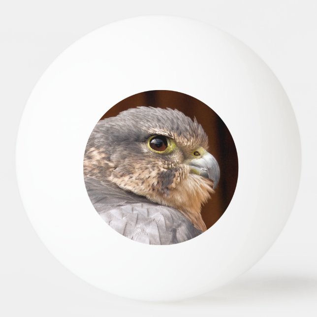 PELOTA DE PING PONG MERLIN FALCON BIRD DE PRESA (Anverso)