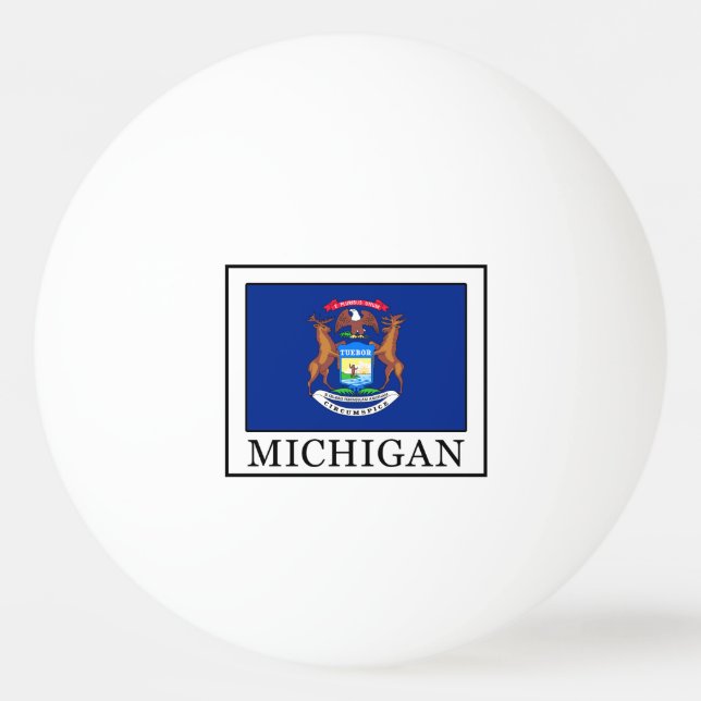 Pelota De Ping Pong Míchigan (Anverso)