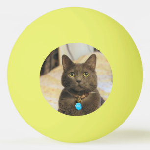 Pelota De Ping Pong Mims