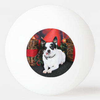 Pelota De Ping Pong Navidad - chihuahua X - Stella