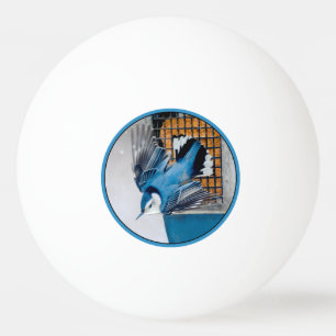 Pelota De Ping Pong Nuthatch blanco en nieve - foto original