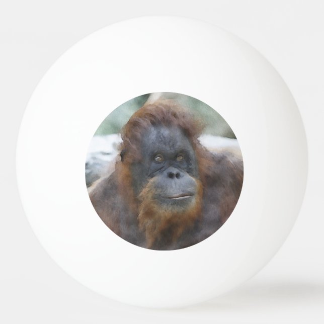 Pelota De Ping Pong Orang acuarela (Anverso)