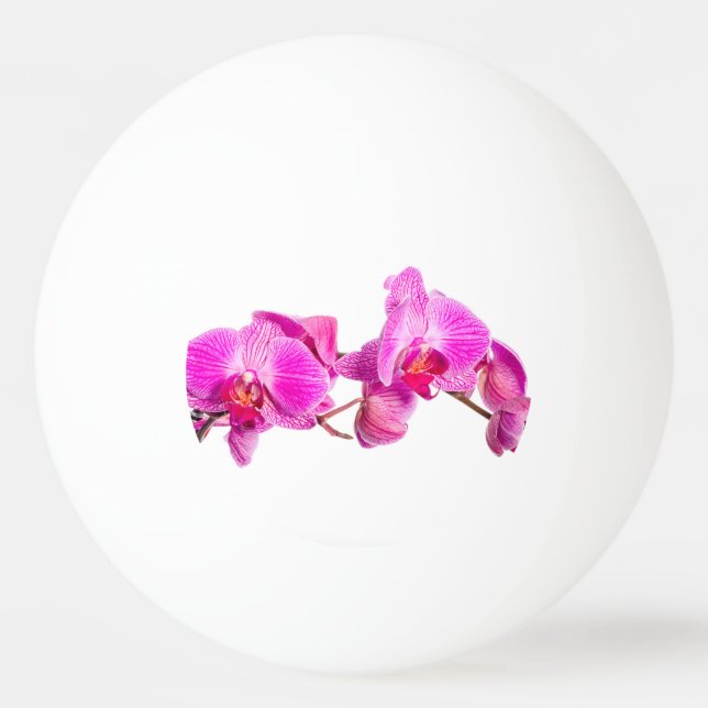 Pelota De Ping Pong Orchid (Reverso)