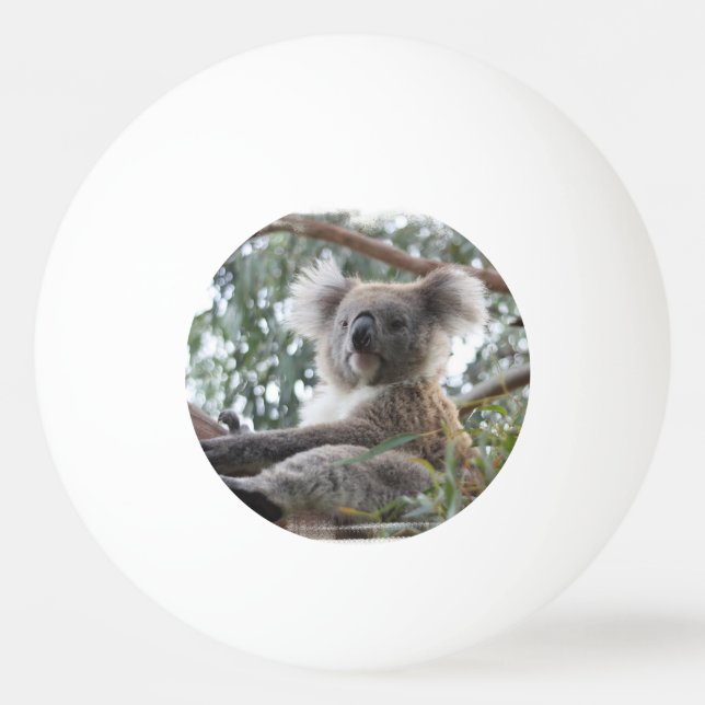 Pelota De Ping Pong Oso de koala (Anverso)