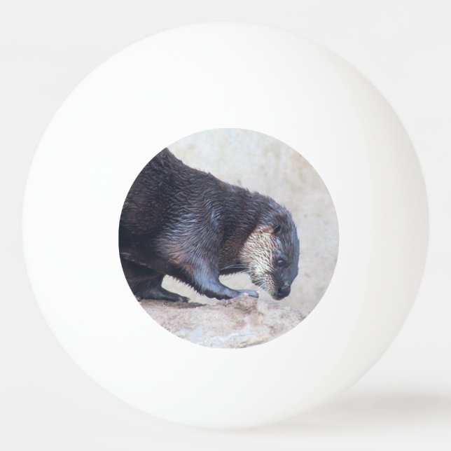 Pelota De Ping Pong Otters (Anverso)