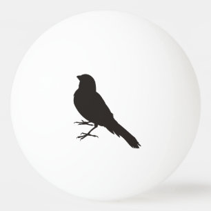 Pelota De Ping Pong Pájaro canario de pie