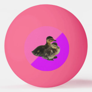 Pelota De Ping Pong Patitos sobre sorbete de frambuesa rosa y púrpura