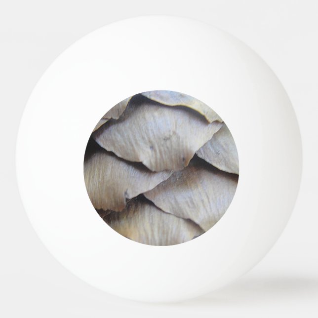 Pelota De Ping Pong Patrón de cono de abeto marrón (Anverso)
