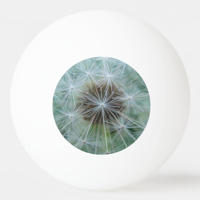 Pelota De Ping Pong Patrón de diente de león blanco (Anverso)