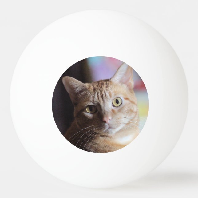 Pelota De Ping Pong Penny (Anverso)