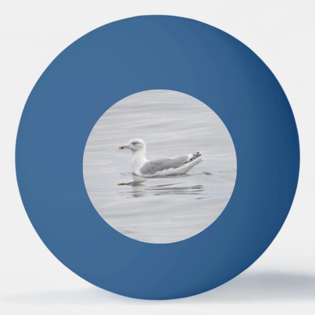 Pelota De Ping Pong Pequeña gaviota (Anverso)