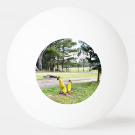 Pelota De Ping Pong Perdido en el jardín otra vez