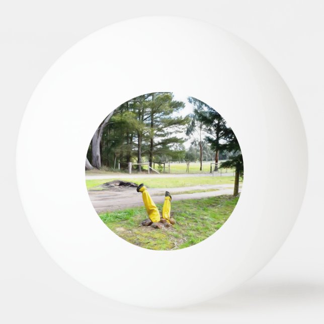 Pelota De Ping Pong Perdido en el jardín otra vez (Anverso)