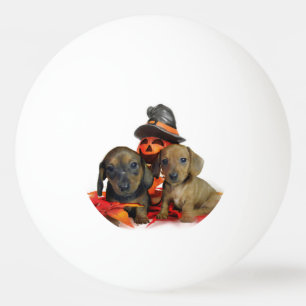 Pelota De Ping Pong Perritos del Dachshund de Halloween