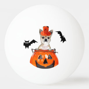 Pelota De Ping Pong Perro de la chihuahua de Halloween
