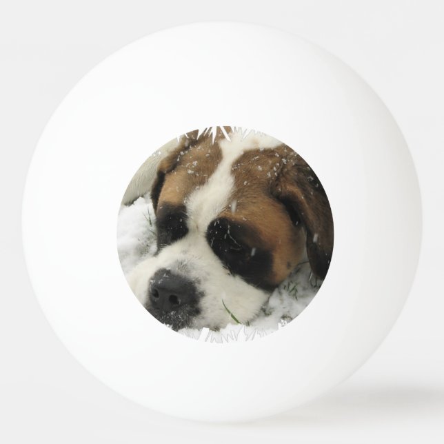 Pelota De Ping Pong Perro de St Bernard (Anverso)