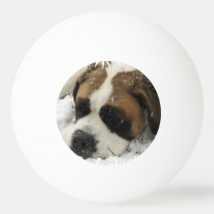 Pelota De Ping Pong Perro de St Bernard