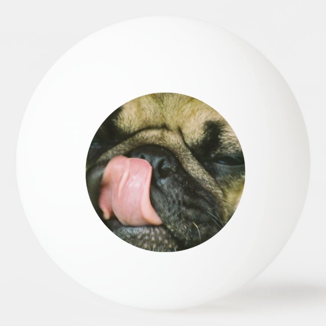 Pelota De Ping Pong Perro del barro amasado (Anverso)