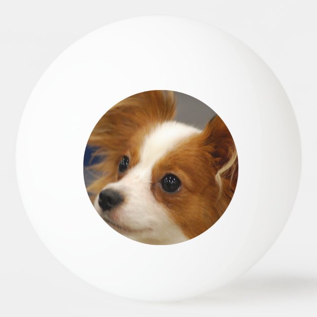 Pelota De Ping Pong Perro lindo de Papillon (Anverso)