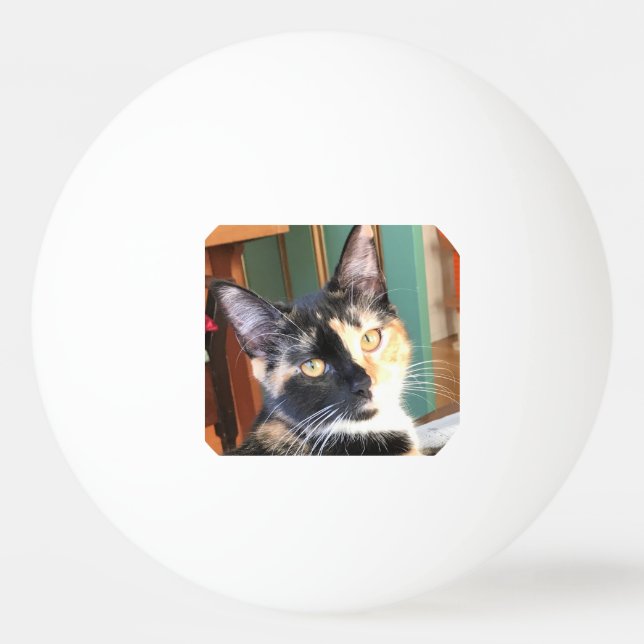 Pelota De Ping Pong Ping Pong de Ruby (Anverso)