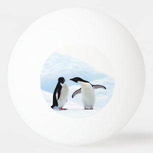 Pelota De Ping Pong Pingüinos Adelie