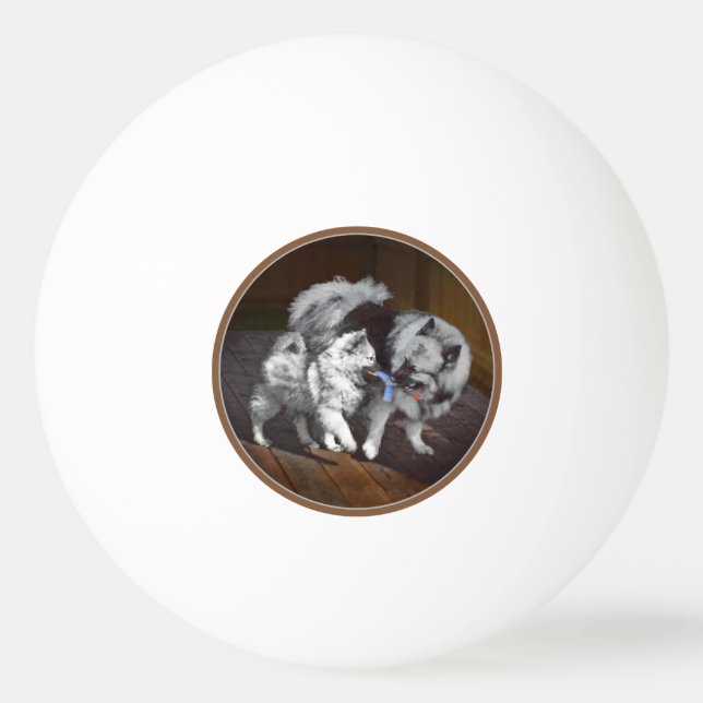 Pelota De Ping Pong Pintado Keeshond Playtime - Arte Perro Original. (Anverso)