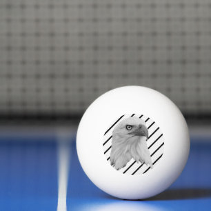 Pelota De Ping Pong Pintura de aceite de águila calva,