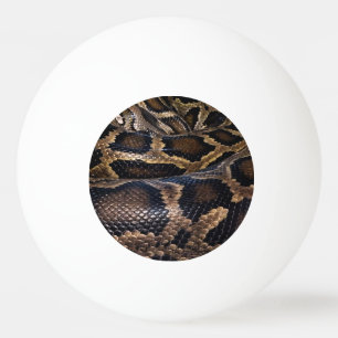 Pelota De Ping Pong Pitón