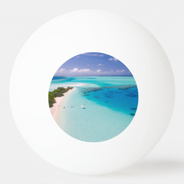 Pelota De Ping Pong Playa Tropical (Anverso)
