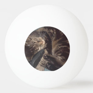 Pelota De Ping Pong Playas Dave Tres Estrellas Ping Pong Ball