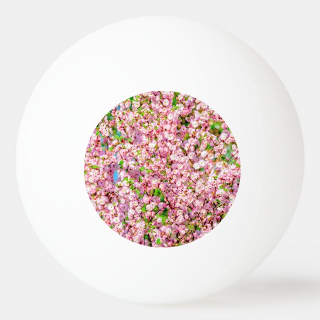 Pelota De Ping Pong Pluma florida (Anverso)